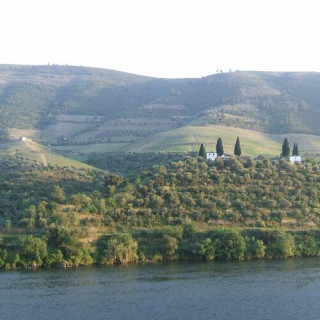 Région viticole du Haut-Douro