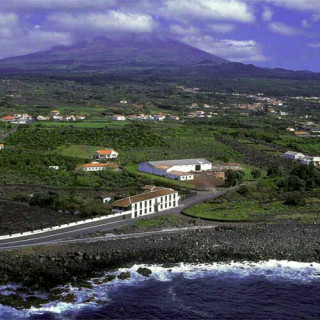 Paysage viticole de l&rsquo;île du Pico