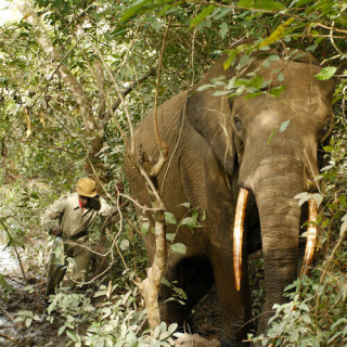 Parc national de la Garamba