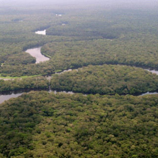 Parc national de la Salonga