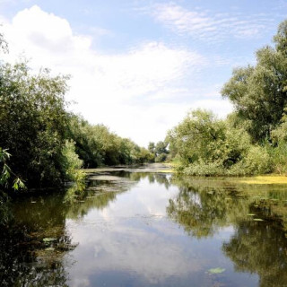 Delta du Danube