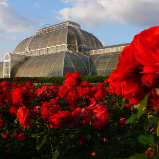 Jardins botaniques royaux de Kew