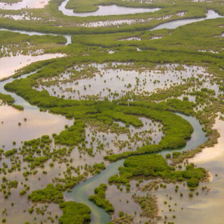 Le parc national du delta du Siné Saloum