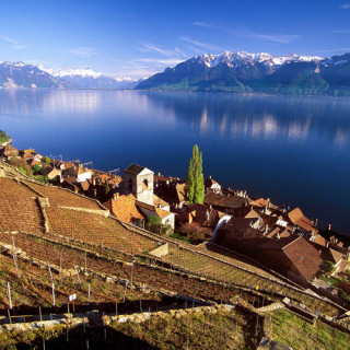 Lavaux, vignoble en terrasses