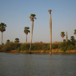 Réserve de gibier de Selous