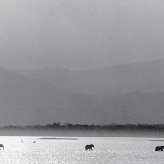 Parc national de Mana Pools, aires de safari Sapi et Chewore
