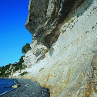Stevns Klint