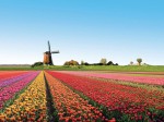 Pays-Bas