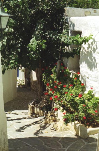 Marpissa – ruelle aux géraniums