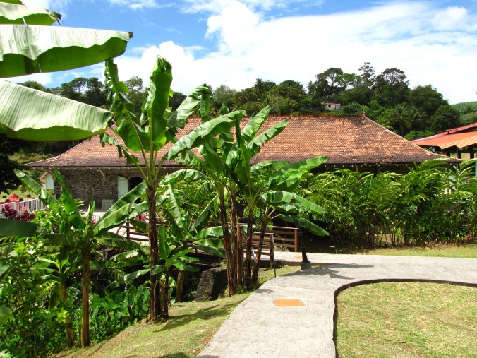 Musée de la Banane