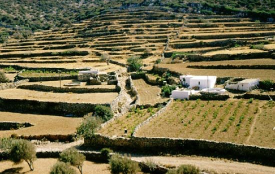Paysage rural