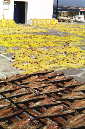 Poissons et filets séchant au soleil