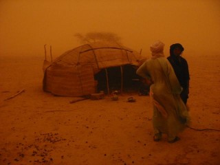 En brousse, au coeur d'un vent de sable