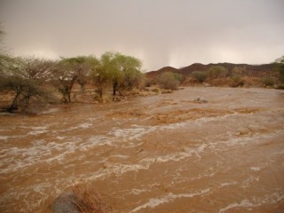 Crue à Taliwat (Timia)