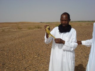 Amakashow