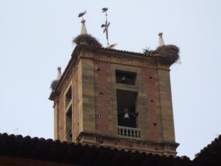 4ème étape Najera les cigognes
