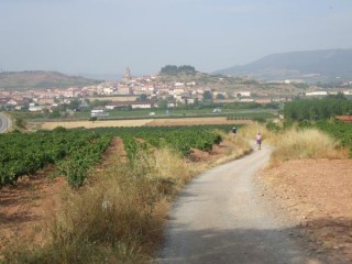 4ème étape el Camino en vue de Navarrete