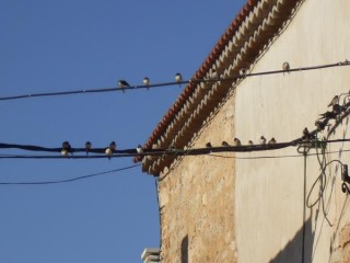 4ème étape rabe de las Calzadas des hirondelles...