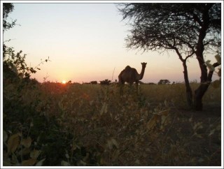 coucher de soleil