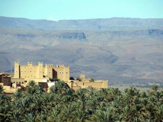 nkob oasis