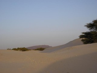 ESSAKANE 2009