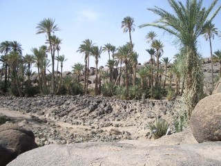 Emalewlé, jardin et guelta Emalewlé, jardin et guelta