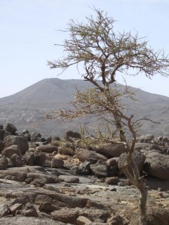 Idoukal n'Taghes, le plus haut sommet des Monts Bagzans, 2022m Idoukal n'Taghes, le plus haut sommet des Monts Bagzans, 2022m