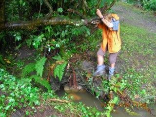 Accrobranche ??? Non, ...... Chemin de Compostelle...