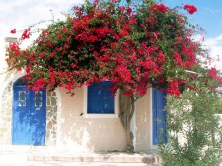 Akrotiri