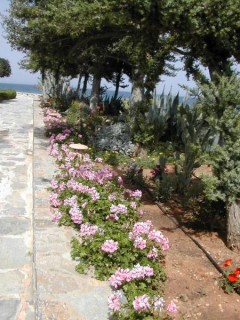 Allée du Créta Maris à Hersonissos