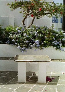 Apollonia - Cour avec table Apollonia - Cour avec table