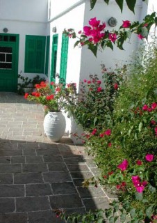 Artemonas - Une cour colorée et fleurie Artemonas - Une cour colorée et fleurie