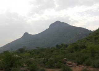 Arunachala, la montagne