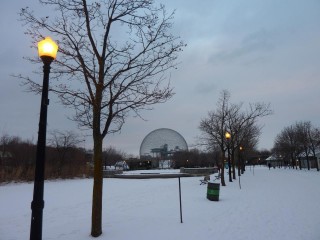 Biosphère sur l'île Ste Hélène