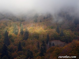 Brume dans le Pinde