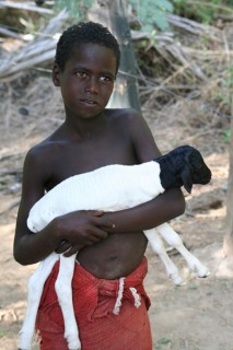CALIN