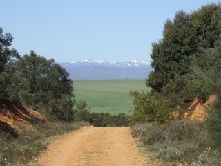 CAMINO MONTAGNE ENNEIGEE