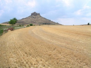 Forteresse médiévale de Gormaz (Castille-Léon) Forteresse médiévale de Gormaz (Castille-Léon)