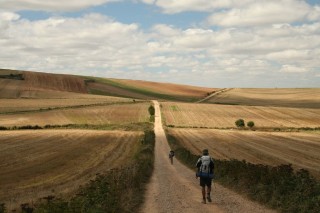 Chemin de Saint Jacques de Compostelle en Rioja Chemin de Saint Jacques de Compostelle en Rioja