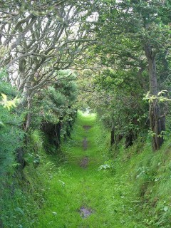 Chemin de randonnée irlandais
