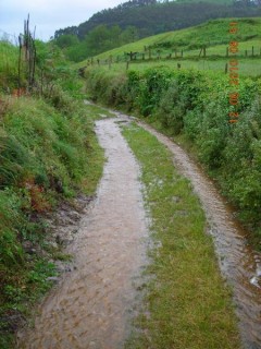 Chemin ou ruisseau ???