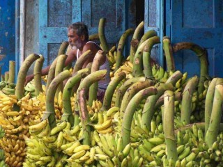 Chennai, au matin