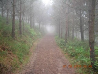Comme la veille nous partons dans le brouillard.