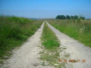 Beau chemin béarnais