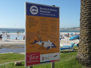 Consigne à respecter... pour sauver une baleine...