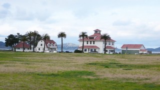 Crissy field