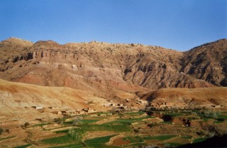 Cultures dans l'Atlas