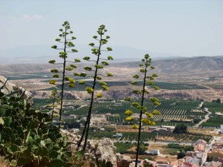Château et ville de Murcie (Région de Murcie)