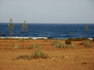 Photo du Cabo de Gata et plages environnantes...