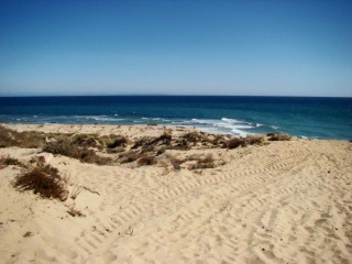 Photo des plages du cap de Trafalgar